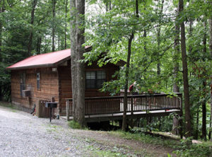 Cabins & Yurts - Summersville Camping | Cabins & Yurts | Lakeside ...